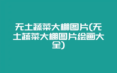 无土蔬菜大棚图片(无土蔬菜大棚图片绘画大全)-会东网