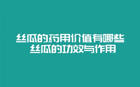 丝瓜的药用价值有哪些 丝瓜的功效与作用-会东网