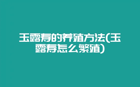玉露寿的养殖方法(玉露寿怎么繁殖)-会东网