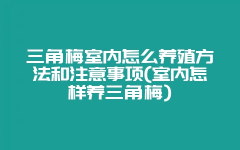 三角梅室内怎么养殖方法和注意事项(室内怎样养三角梅)-会东网