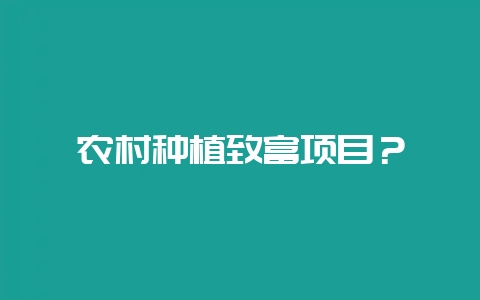 农村种植致富项目？-会东网