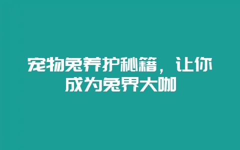 宠物兔养护秘籍，让你成为兔界大咖-会东网