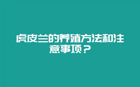 虎皮兰的养殖方法和注意事项？-会东网