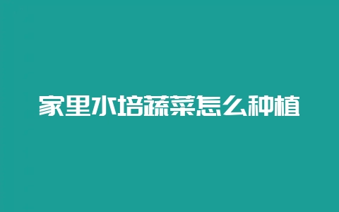 家里水培蔬菜怎么种植-会东网