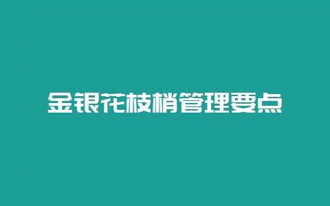 金银花枝梢管理要点-会东网