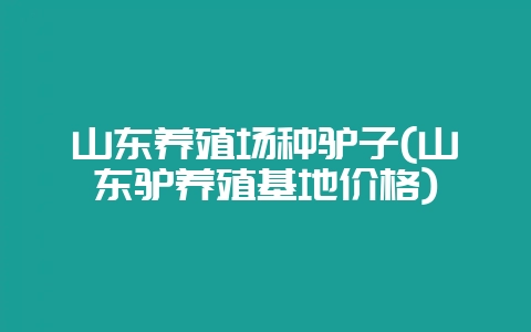 山东养殖场种驴子(山东驴养殖基地价格)-会东网