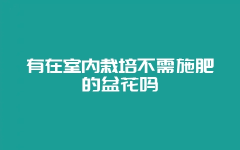 有在室内栽培不需施肥的盆花吗-会东网