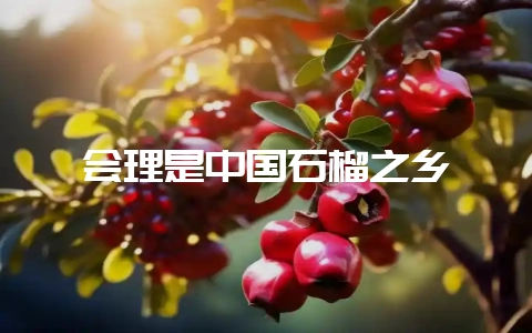 会理是中国石榴之乡-会东网