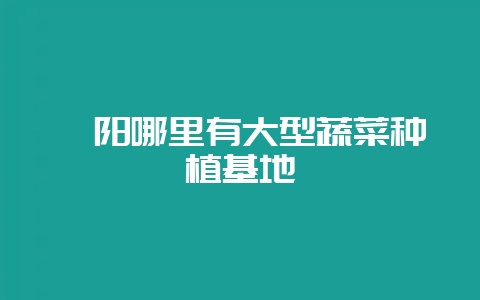 襄阳哪里有大型蔬菜种植基地-会东网