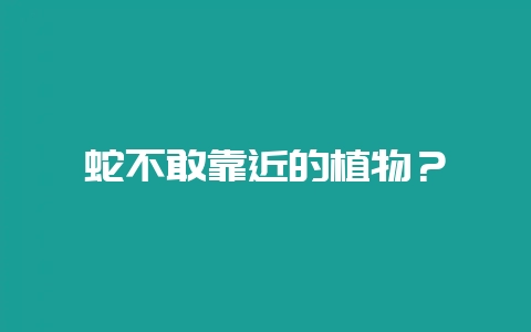 蛇不敢靠近的植物?插图 蛇不敢靠近的植物?插图