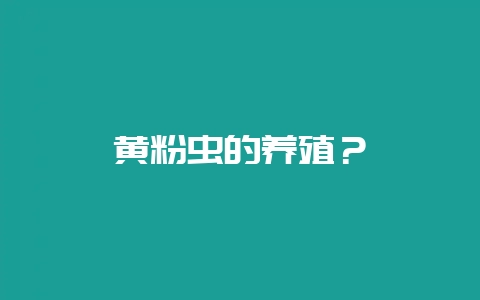 黄粉虫的养殖?插图 黄粉虫的养殖?插图