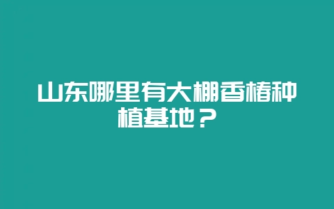 山东哪里有大棚香椿种植基地？-会东网