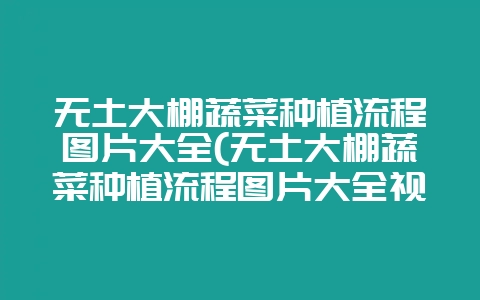 无土大棚蔬菜种植流程图片大全(无土大棚蔬菜种植流程图片大全视频)-会东网