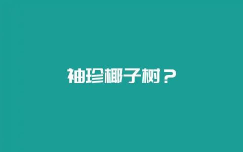 袖珍椰子树?插图 袖珍椰子树?插图