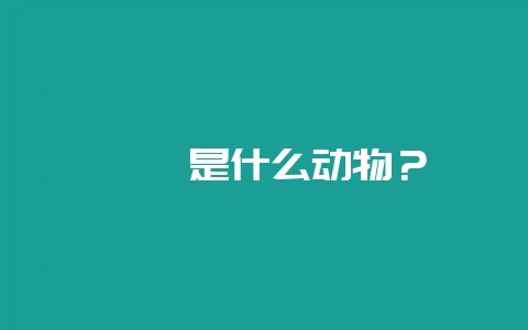 蜉蝣是什么动物?-会东网