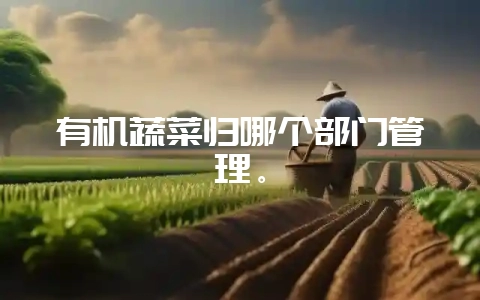 有机蔬菜归哪个部门管理。-会东网