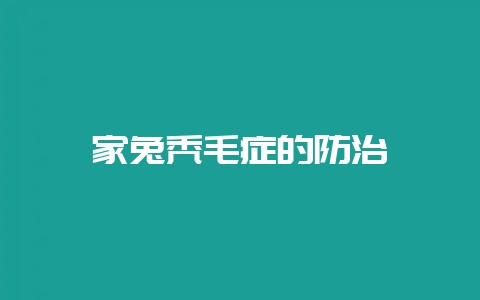 家兔秃毛症的防治-会东网