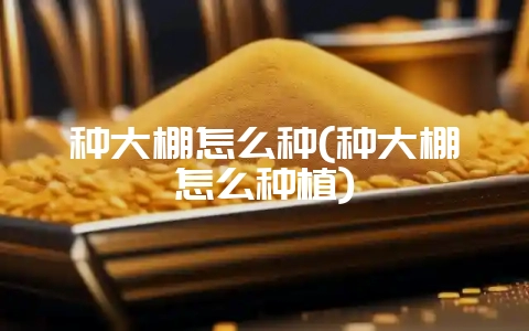 种大棚怎么种(种大棚怎么种植)插图 种大棚怎么种(种大棚怎么种植)插图