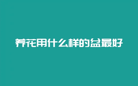 养花用什么样的盆最好-会东网