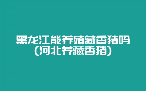 黑龙江能养殖藏香猪吗(河北养藏香猪)-会东网