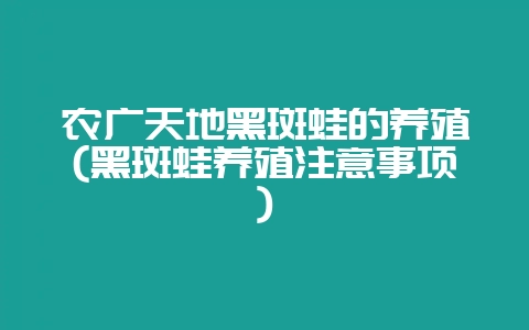 农广天地黑斑蛙的养殖(黑斑蛙养殖注意事项)-会东网