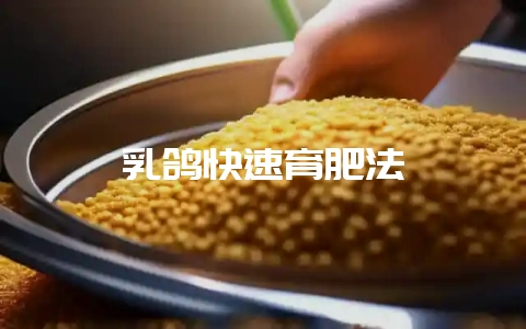 乳鸽快速育肥法插图 乳鸽快速育肥法插图