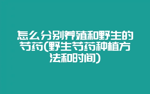 怎么分别养殖和野生的芍药(野生芍药种植方法和时间)插图 怎么分别养殖和野生的芍药(野生芍药种植方法和时间)插图
