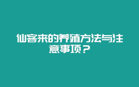 仙客来的养殖方法与注意事项?插图 仙客来的养殖方法与注意事项?插图