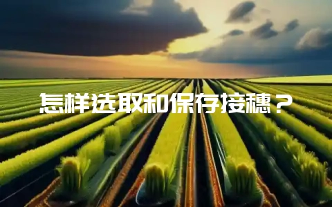 怎样选取和保存接穗？-会东网