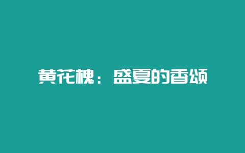 黄花槐:盛夏的香颂插图 黄花槐:盛夏的香颂插图