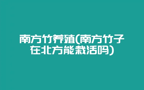 南方竹养殖(南方竹子在北方能栽活吗)-会东网