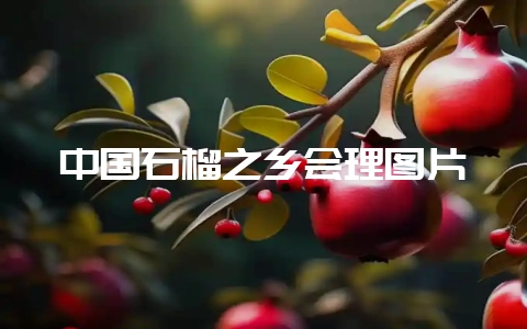 中国石榴之乡会理图片-会东网