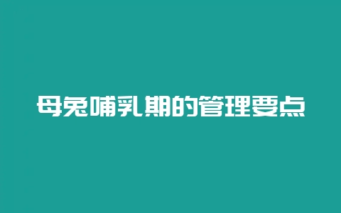 母兔哺乳期的管理要点-会东网