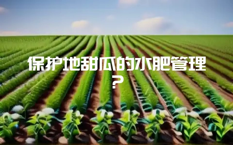 保护地甜瓜的水肥管理？-会东网