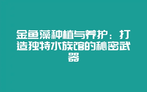 金鱼藻种植与养护:打造独特水族馆的秘密武器插图 金鱼藻种植与养护:打造独特水族馆的秘密武器插图