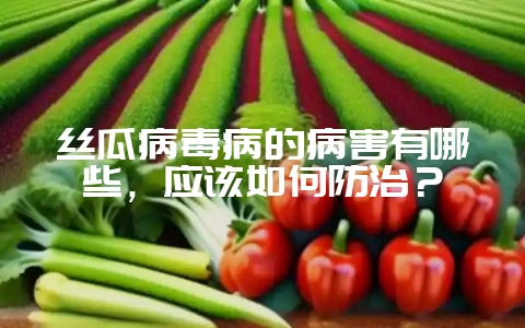 丝瓜病毒病的病害有哪些，应该如何防治？-会东网