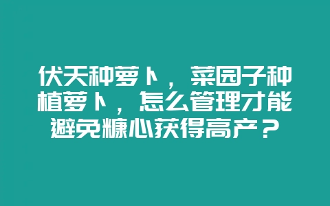 伏天种萝卜，菜园子种植萝卜，怎么管理才能避免糠心获得高产？-会东网