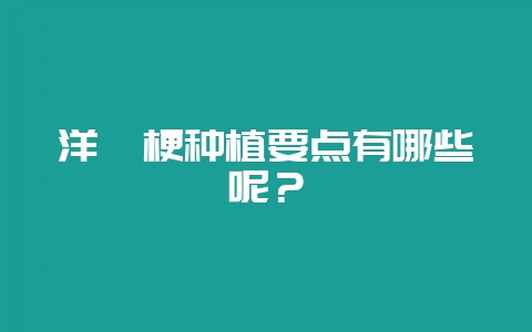 洋桔梗种植要点有哪些呢?插图 洋桔梗种植要点有哪些呢?插图