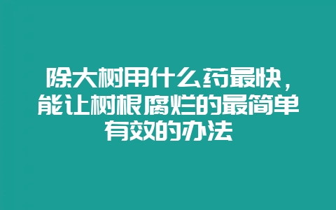 除大树用什么药最快，能让树根腐烂的最简单有效的办法-会东网