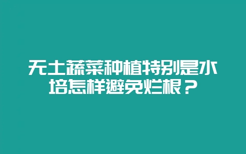 无土蔬菜种植特别是水培怎样避免烂根？-会东网