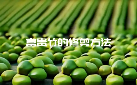 富贵竹的修剪方法-会东网