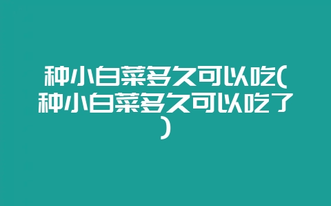 种小白菜多久可以吃(种小白菜多久可以吃了)-会东网