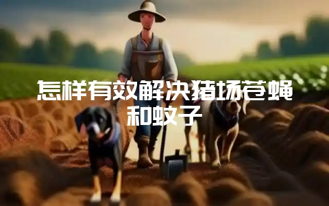 怎样有效解决猪场苍蝇和蚊子-会东网