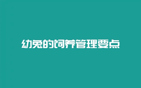 幼兔的饲养管理要点-会东网