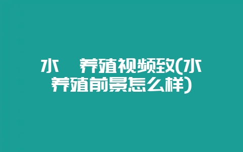 水貂养殖视频致(水貂养殖前景怎么样)插图 水貂养殖视频致(水貂养殖前景怎么样)插图
