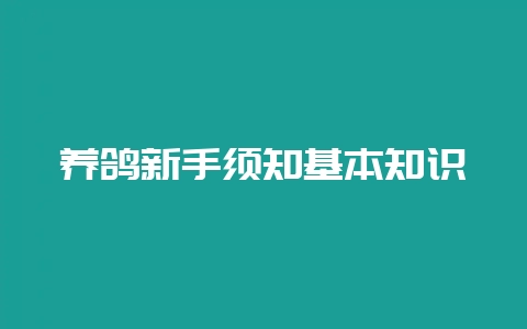 养鸽新手须知基本知识-会东网