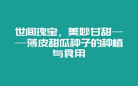 世间瑰宝,美妙甘甜——薄皮甜瓜种子的种植与食用插图 世间瑰宝,美妙甘甜——薄皮甜瓜种子的种植与食用插图