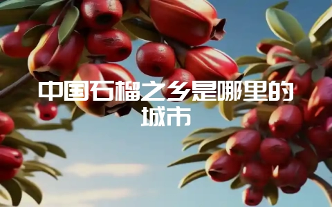 中国石榴之乡是哪里的城市插图 中国石榴之乡是哪里的城市插图