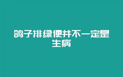 鸽子排绿便并不一定是生病-会东网