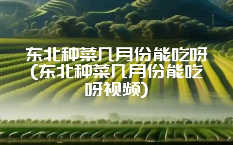 东北种菜几月份能吃呀(东北种菜几月份能吃呀视频)-会东网